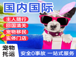 漠河古莲机场快运国际宠物托运 【国